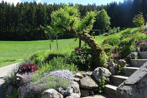 Boeck_02