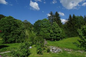 Boeck_03