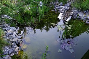 Boeck_05