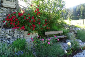 Boeck_07