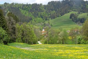 Boeck_11