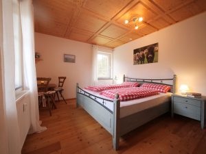 Ferienwohnung-Altach-02